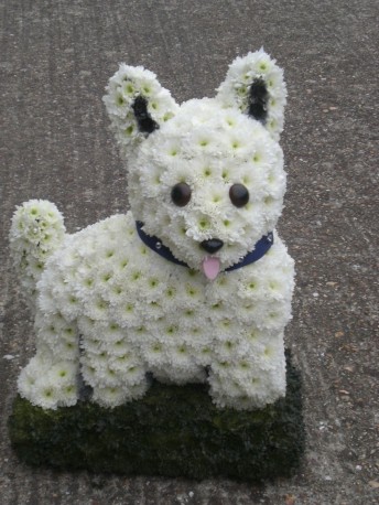 3D Westie Dog